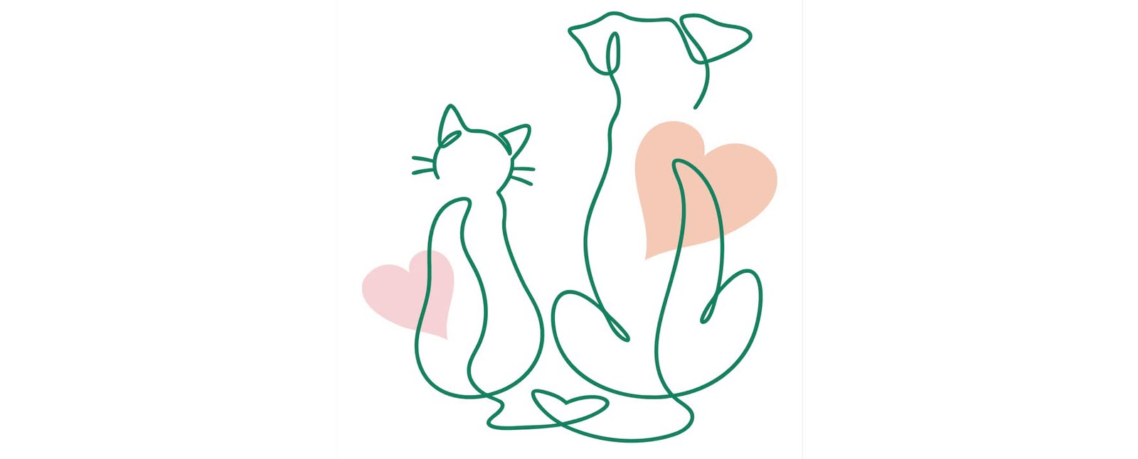 Image of a cat and a dog